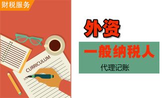代理記賬的核心服務內容及其在軟件開發行業中的應用優勢